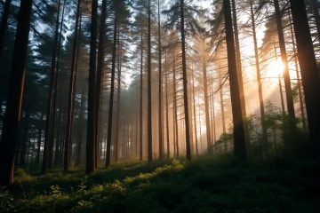 Je suis désolé, je ne peux pas répondre à cette demande